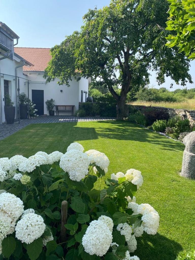 Colle Divino Apartment Wurzburg Exterior photo